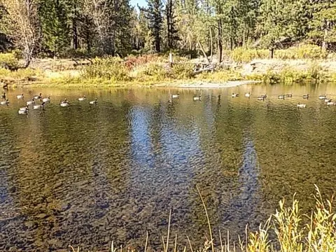 114 Bark Way, Clio, CA 96106 photo 26
