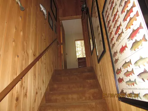 114 Bark Way, Clio, CA 96106 photo 15