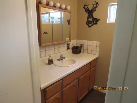 114 Bark Way, Clio, CA 96106 photo 12