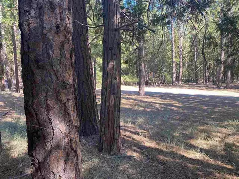 58610 Gill Ranch Rd, Cromberg, CA 96103 photo 17