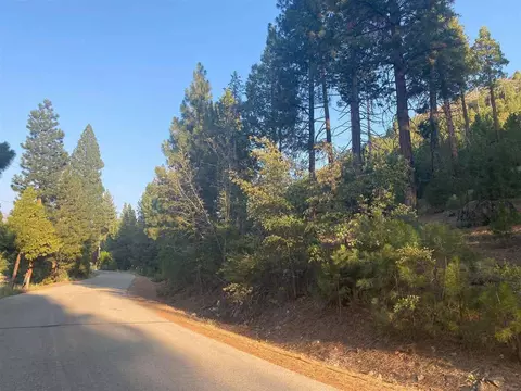 620 Bear Valley Rd, Loyalton, CA 96118 photo 3