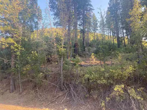 620 Bear Valley Rd, Loyalton, CA 96118 photo 1