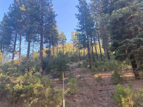 620 Bear Valley Rd, Loyalton, CA 96118 photo 2
