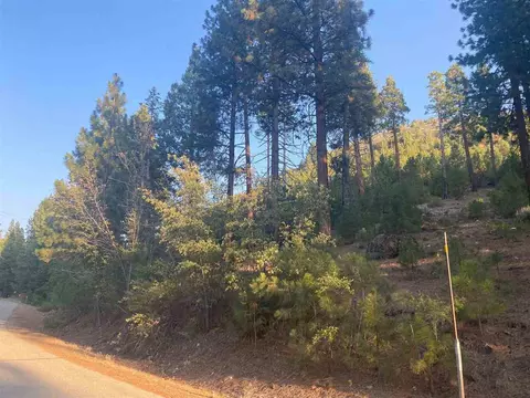 620 Bear Valley Rd, Loyalton, CA 96118 photo 4