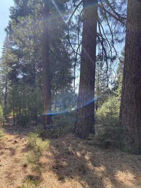 177 Ponderosa Pine Ln, Lake Almanor, CA 96137