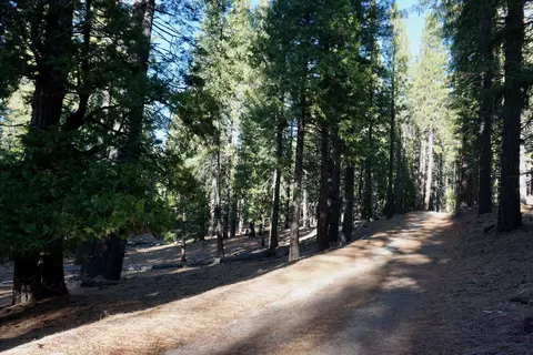 1899 Red Fox Rd, Clio, CA 96106 photo 12