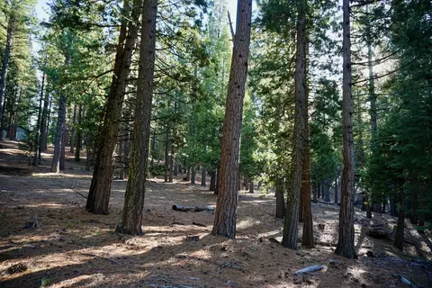 1899 Red Fox Rd, Clio, CA 96106 photo 22