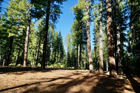 1899 Red Fox Rd, Clio, CA 96106 photo 9