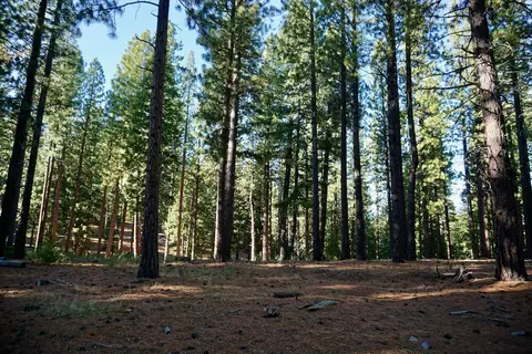 1899 Red Fox Rd, Clio, CA 96106 photo 25