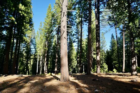 1899 Red Fox Rd, Clio, CA 96106 photo 2