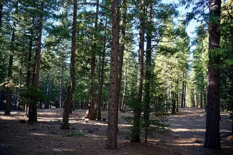 1899 Red Fox Rd, Clio, CA 96106 photo 14