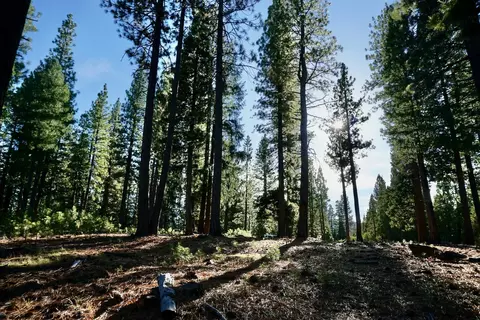 1899 Red Fox Rd, Clio, CA 96106