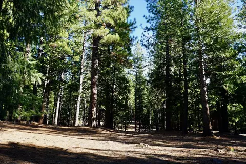 1899 Red Fox Rd, Clio, CA 96106 photo 7
