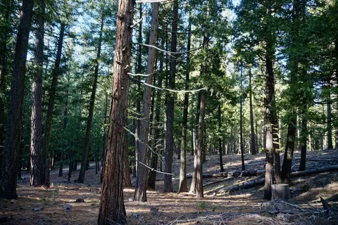 1899 Red Fox Rd, Clio, CA 96106 photo 20