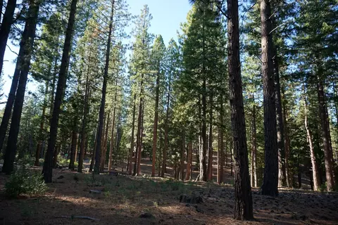 1899 Red Fox Rd, Clio, CA 96106 photo 27