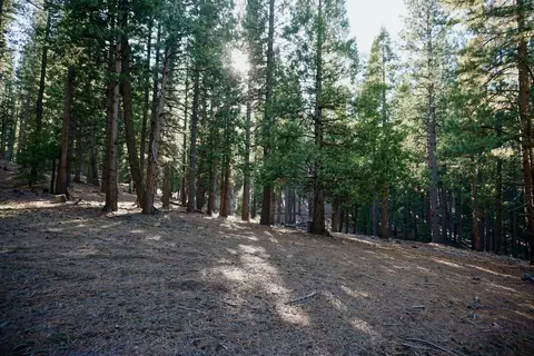 1899 Red Fox Rd, Clio, CA 96106 photo 17
