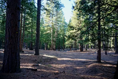 1899 Red Fox Rd, Clio, CA 96106 photo 15