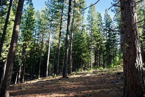 1899 Red Fox Rd, Clio, CA 96106 photo 5