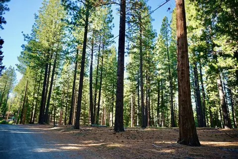 1899 Red Fox Rd, Clio, CA 96106 photo 24