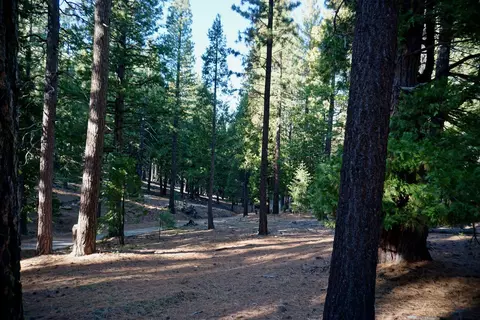 1899 Red Fox Rd, Clio, CA 96106 photo 11