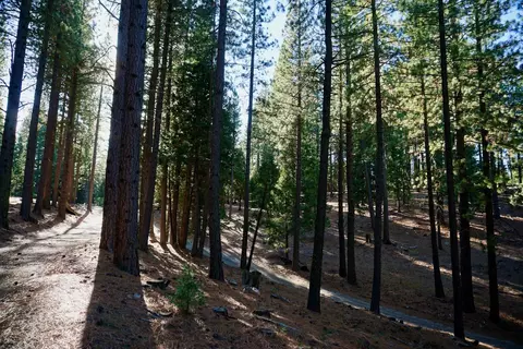 1899 Red Fox Rd, Clio, CA 96106 photo 10