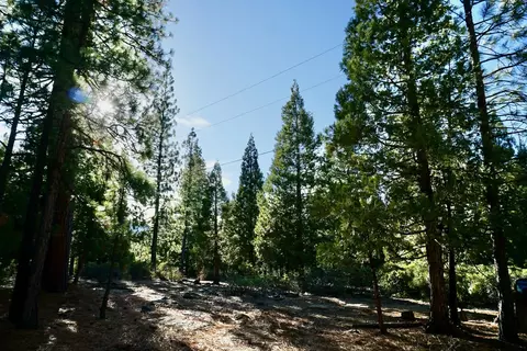 1899 Red Fox Rd, Clio, CA 96106 photo 6