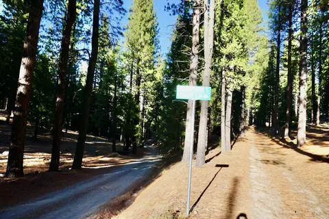 1899 Red Fox Rd, Clio, CA 96106 photo 23