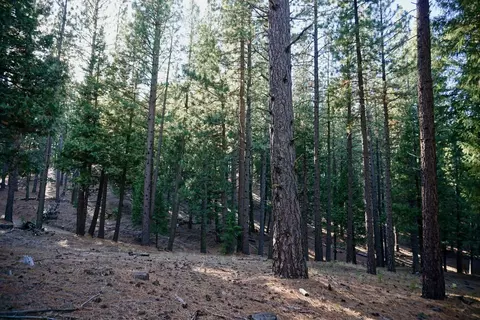 1899 Red Fox Rd, Clio, CA 96106 photo 19