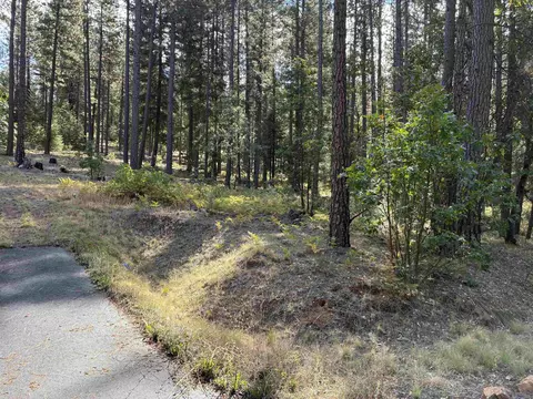 5688 Chandler Rd, Quincy, CA 95971