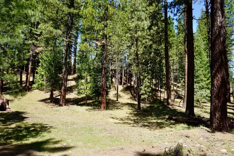 4 Paiute Trl, Graeagle, CA 96103