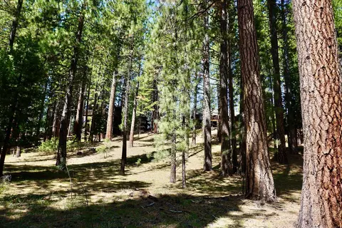 4 Paiute Trl, Graeagle, CA 96103 photo 5