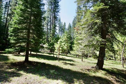 5 Shawnee Trl, Graeagle, CA 96103 photo 1