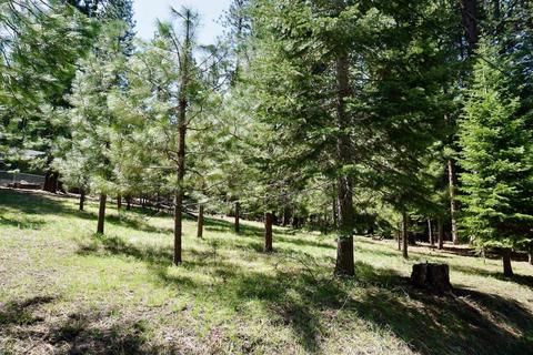 5 Shawnee Trl, Graeagle, CA 96103 photo 4