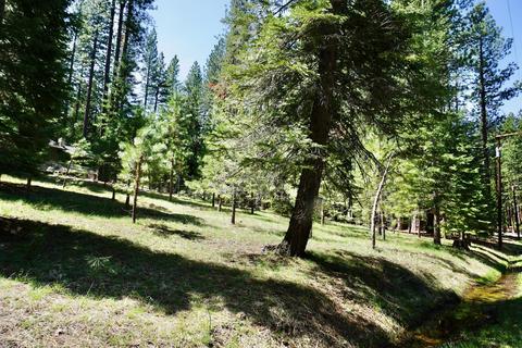 5 Shawnee Trl, Graeagle, CA 96103 photo 2