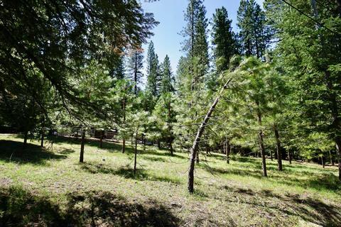 5 Shawnee Trl, Graeagle, CA 96103 photo 3