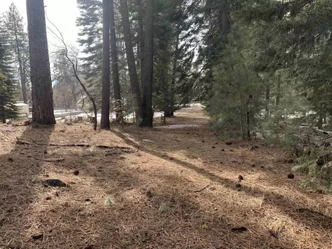 665 Feather River Dr, Chester, CA 96020 photo 2