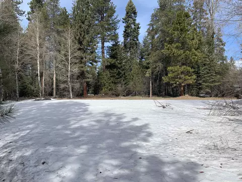 665 Feather River Dr, Chester, CA 96020 photo 4