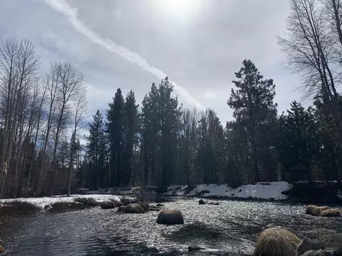 665 Feather River Dr, Chester, CA 96020 photo 7