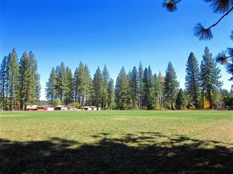 1509 Ringtail Rd, Clio, CA 96106 photo 30