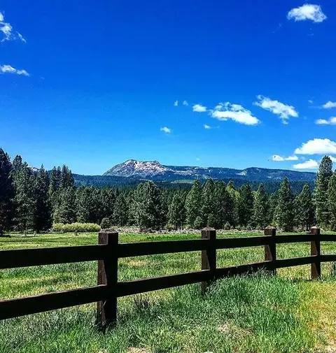 1509 Ringtail Rd, Clio, CA 96106 photo 25