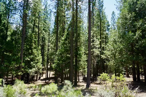 1509 Ringtail Rd, Clio, CA 96106 photo 9