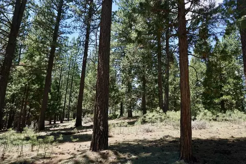 1509 Ringtail Rd, Clio, CA 96106 photo 13