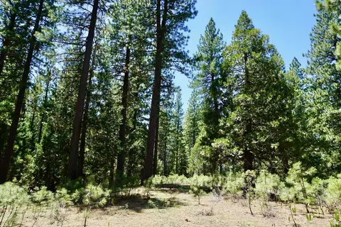 1509 Ringtail Rd, Clio, CA 96106 photo 11