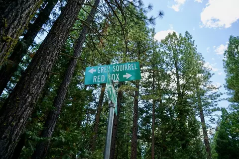 1509 Ringtail Rd, Clio, CA 96106 photo 20