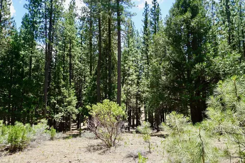 1509 Ringtail Rd, Clio, CA 96106 photo 7