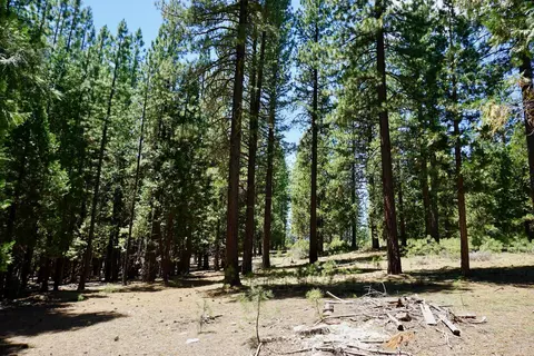 1509 Ringtail Rd, Clio, CA 96106 photo 6