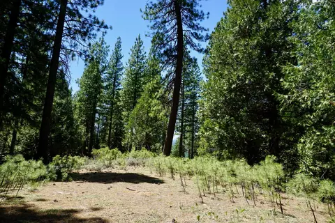 1509 Ringtail Rd, Clio, CA 96106 photo 12