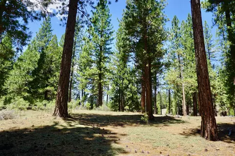1509 Ringtail Rd, Clio, CA 96106 photo 10
