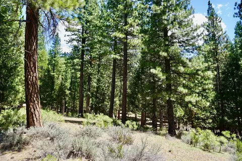 1509 Ringtail Rd, Clio, CA 96106 photo 8