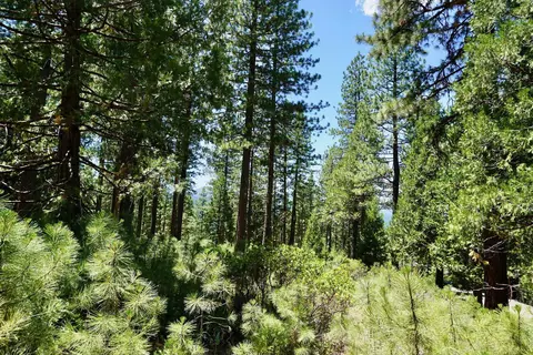 1509 Ringtail Rd, Clio, CA 96106 photo 1